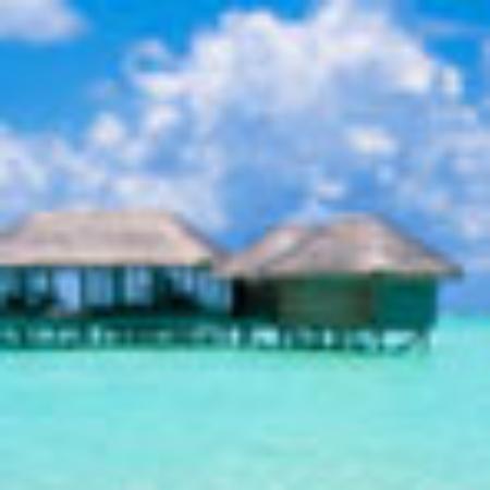 Oishi Sushi & Hibachi